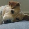 Profile Picture of Lillian Finton (@@user858767449) on Tiktok