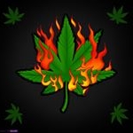 Jason Suydam - Instagram Profile Picture of Jason Suydam (@thestonerlyfe) on Instagram