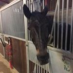 Profile Picture of Dee Horton (@deehorton2) on Instagram