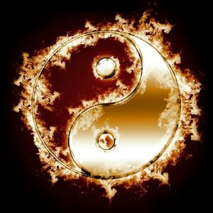 Profile Picture of Not in use (@danko200276) on Tiktok