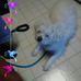 Profile Picture of David Eichner (@david.eichner.779) on Facebook