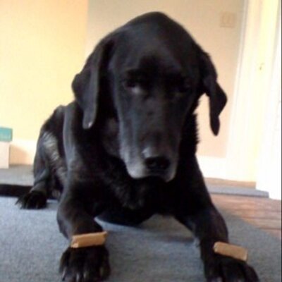 Profile Picture of Andy Sherriff (@asherr13) on Twitter