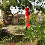 Profile Picture of Abigail Stevenson ♥️ (@abigailes_official) on Instagram