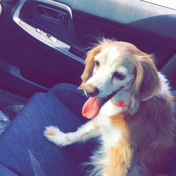 Profile Picture of Arvand Ossoli (@arvvvv) on Poshmark