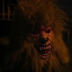 Profile Picture of Kim Solberg (@rullandetigar) on Instagram