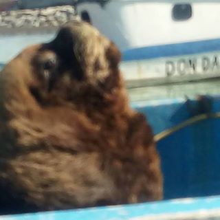 Profile Picture of Claudia Mana (@claudia.mana.969) on Facebook