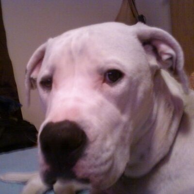 Profile Picture of Kim Cundiff (@CundiffKim) on Twitter