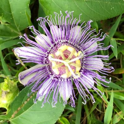 Profile Picture of Hey_Ray (@ReneKikel) on Twitter