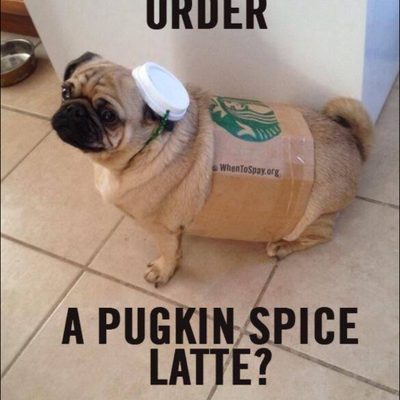 Profile Picture of Kim Hutchison (@keegrrm) on Twitter