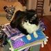 Profile Picture of Robert Alger (@robert.alger.332) on Facebook