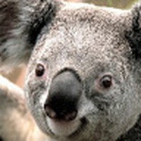 Profile Picture of Brian Mcandrew (@brian-mcandrew-11) on Quora