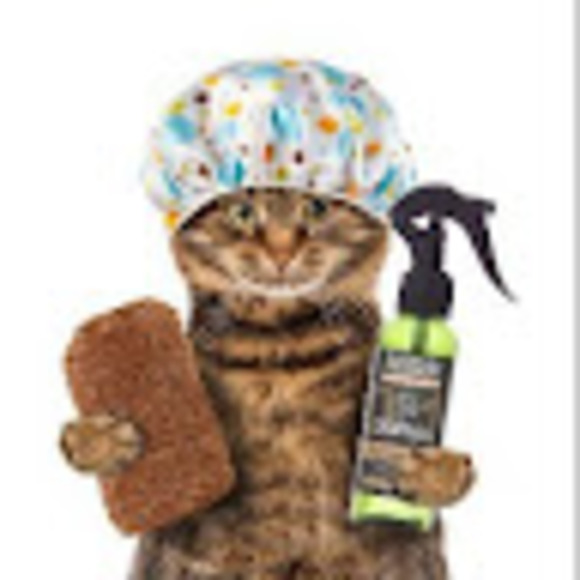 Profile Picture of Fandelos Gatosinpelo (@ellimoncalcetin) on Poshmark