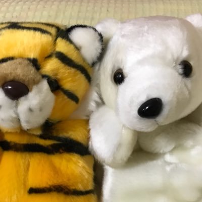 Profile Picture of クマックルー&とらちゃんチャンネル Kumackle&Torachan Ray!Wa!JUMP! (@RayJUMP1) on Twitter