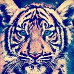 Profile Picture of Alice Hotte (@alice_hotte) on Instagram