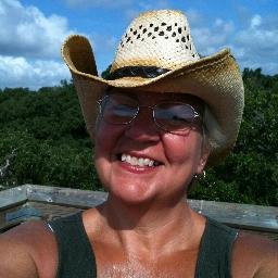 Profile Picture of Lori Hiller (@onairlady2001) on Twitter