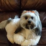 Profile Picture of Becky Crabtree-Brenseke (@bec5175) on Instagram
