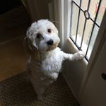 Profile Picture of Eric Mudd (@ecmudd) on Instagram