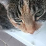 Profile Picture of Jan IbelKuczyński (@Jan-Ibel-Kuczyński) on Facebook