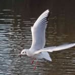 Barbara Markiewicz - Facebook Profile Picture of Barbara Markiewicz (@Barbara-Markiewicz) on Facebook