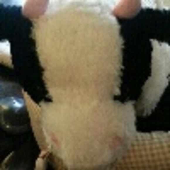 Profile Picture of My Vo (@moodstyle) on Poshmark