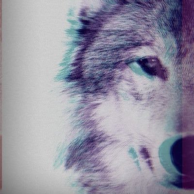 Profile Picture of Ron (@ryan_cornelison) on Twitter