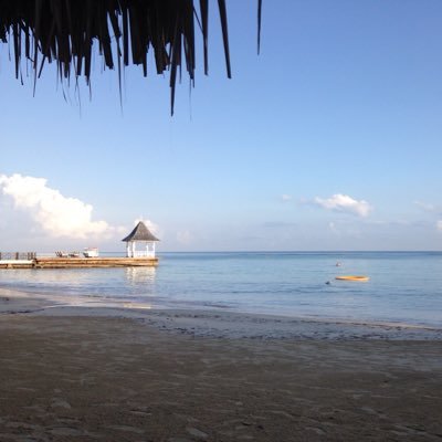 Profile Picture of Tony Gaudet (@tony_gaudet) on Twitter