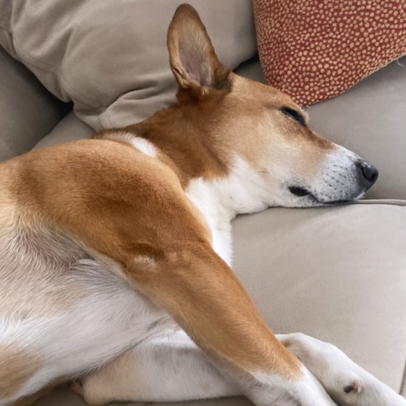 Olivia Sheridan - Poshmark Profile Picture of Olivia Sheridan (@olivialsx) on Poshmark