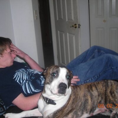 Profile Picture of Andrew Lindemann (@andylindemann19) on Twitter