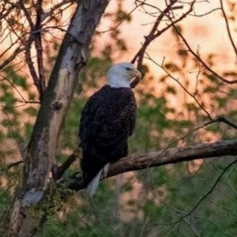 Mike Downing - Twitter Profile Picture of Mike Downing (@med146) on Twitter