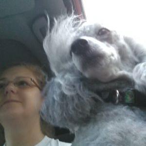 Profile Picture of Stephanie Scribner (@Memphblu) on Twitter