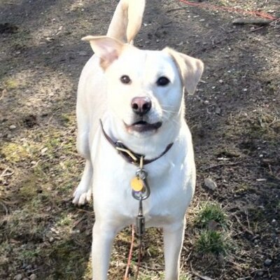 Profile Picture of Paul Notine (@PaulNotine) on Twitter