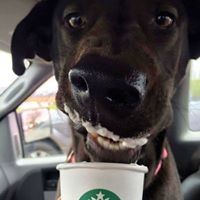 Profile Picture of Amber Marie Couse (@amber-marie-couse) on Quora