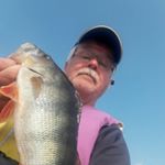 Profile Picture of MarkkuAronen (@markkuaronen) on Instagram