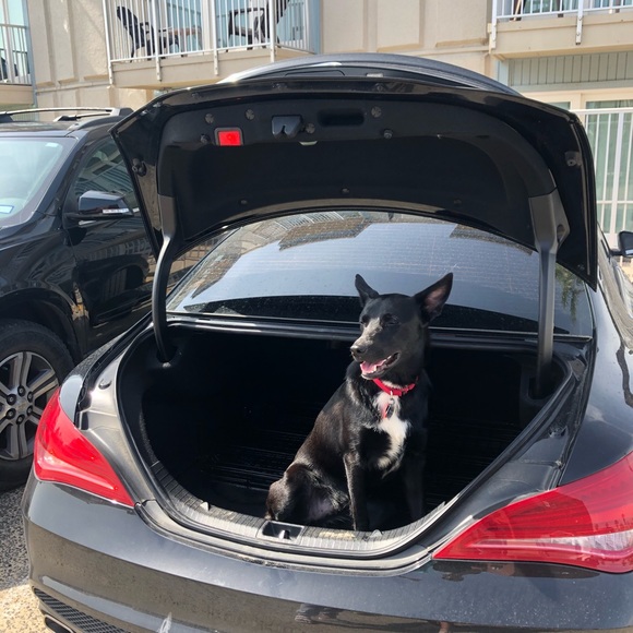 Profile Picture of Michael Stokdyk (@michaelstokdyk) on Poshmark