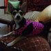 Profile Picture of Luz Sanchez (@luzsanchez50364) on Pinterest