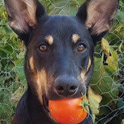 Profile Picture of Richard McGuire (@richardmcguire8586) on Youtube