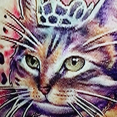 Profile Picture of Michele C Eckert (@tinklsemv) on Twitter