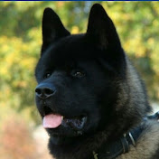 Profile Picture of Jamal Mourad (@jamalmourad6097) on Youtube