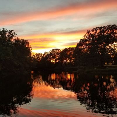 Profile Picture of Gregg Hickman (@GreggHickman) on Twitter