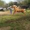 Profile Picture of Mario Jordan (@mario.jordan.90260) on Facebook