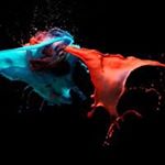 Profile Picture of Thomas Pool (@thomas.littler.56) on Instagram