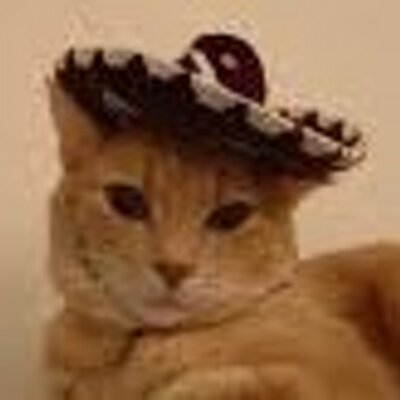 Profile Picture of Jeff Bayne (@Jeffbayne) on Twitter