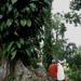 Profile Picture of An Nofita (@annisaamauladi) on Pinterest