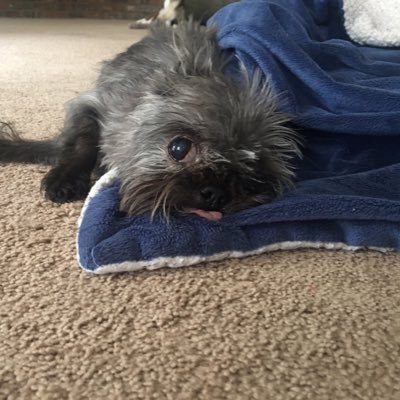 Profile Picture of Lori (@LoriSimonsen59) on Twitter