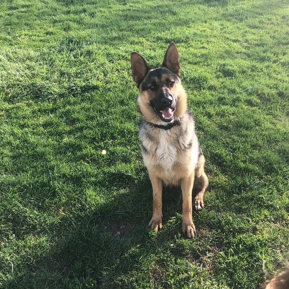 Profile Picture of Maria Guenther (@mariascloset829) on Poshmark