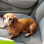 Lynette McKenzie - Instagram Profile Picture of Lynette McKenzie (@lmcken4222) on Instagram