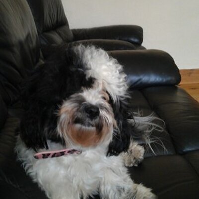 Profile Picture of Jason Snowden (@susiem75_jason) on Twitter