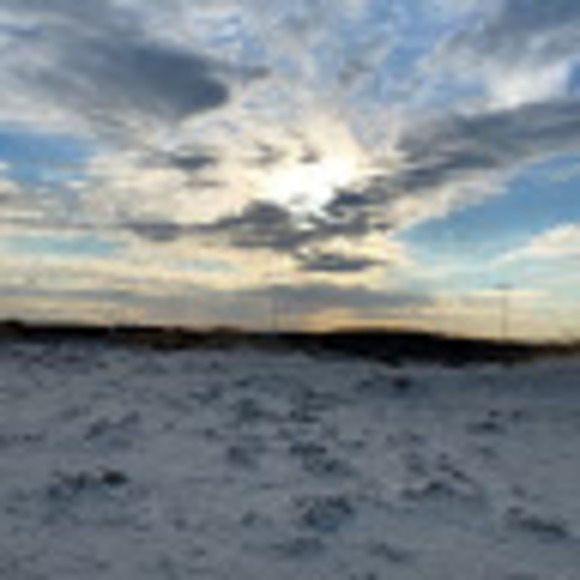 Profile Picture of Maura Hofstadter (@hofstadter12) on Poshmark