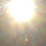 Profile Picture of Meg Sullivan (@megsullivan4) on Flickr