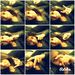 Profile Picture of Keilah Rexach (@1gohwwmt7r8o10o) on Pinterest